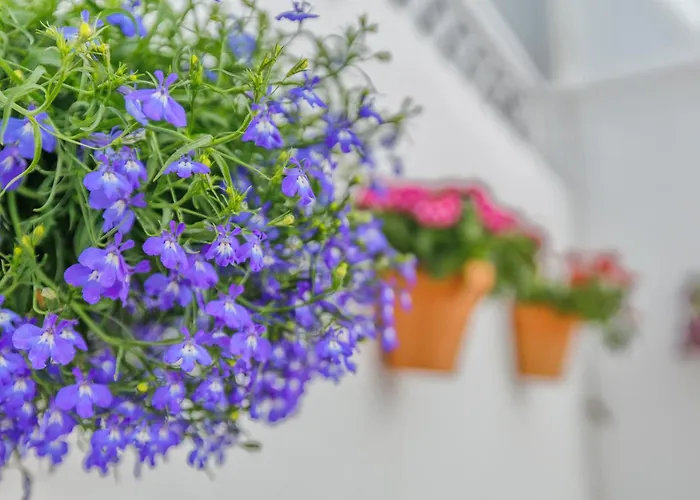 La Casita De Marcelo * Кордова