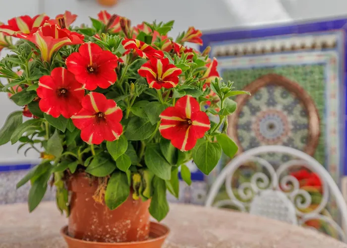 Daire La Casita De Marcelo