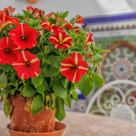 アパート La Casita De Marcelo