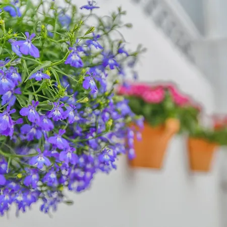 La Casita De Marcelo * コルドバ